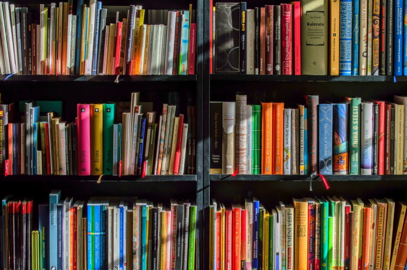 magasin-ROCBARON-min_books_bookstore_book_reading_shop_writer_sale_books_read-822866